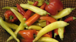 Bell and Sweet Banana Peppers